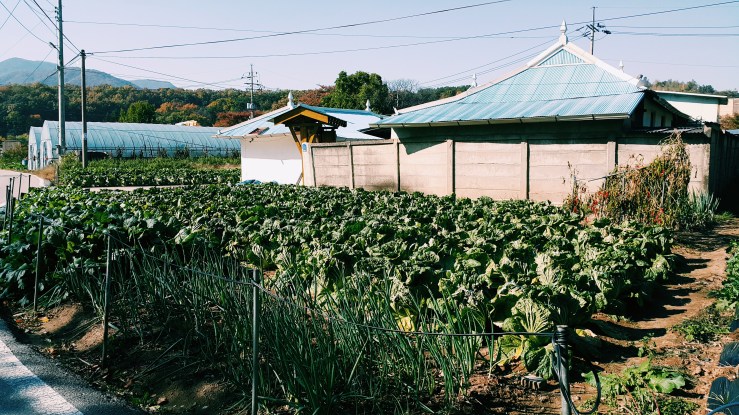 Processed with VSCO with c1 preset