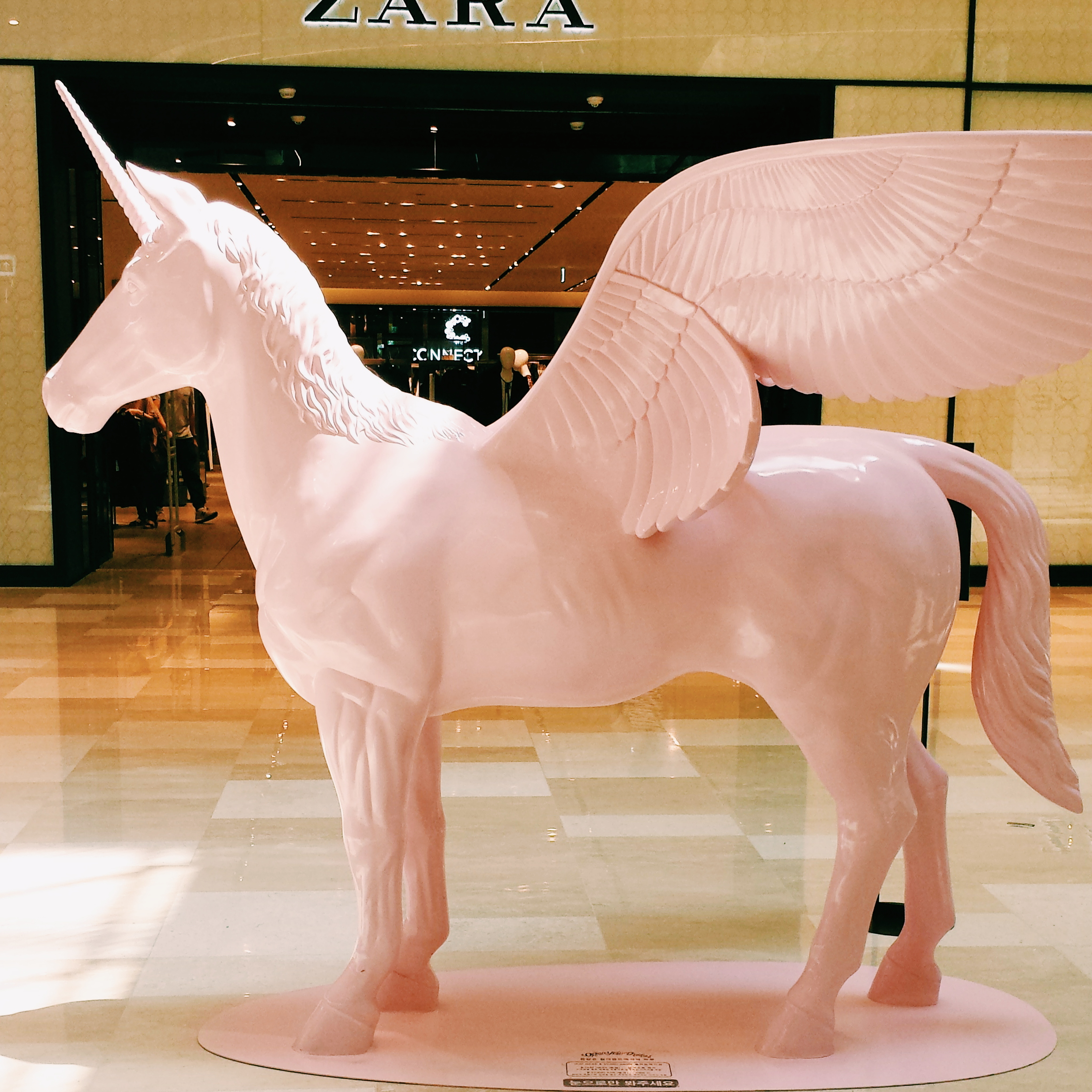 Processed with VSCOcam with c1 preset