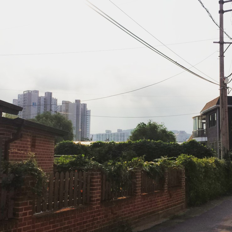 IMG_20150902_121253(1)